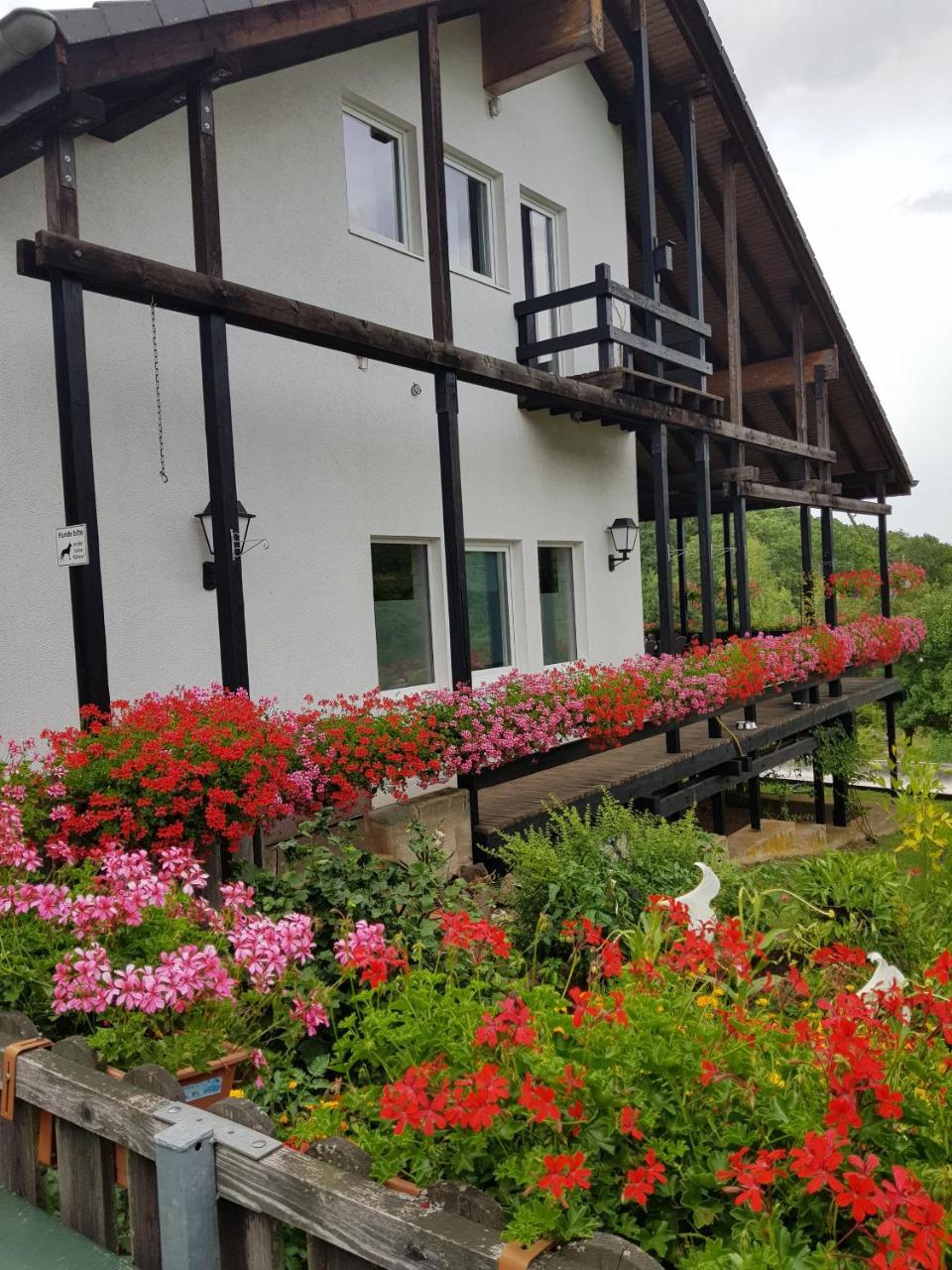 Hotel-Restaurant-Eifeltor Mechernich Exteriér fotografie